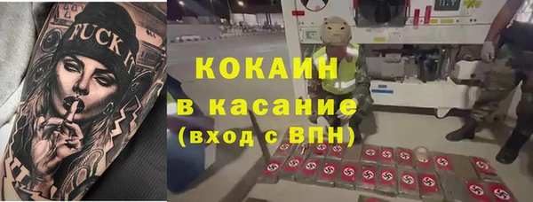 сатива Арсеньев