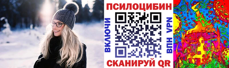 Псилоцибиновые грибы Psilocybe  Мензелинск 